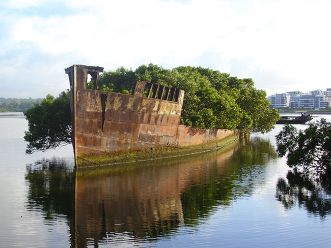 Quando a natureza reclama o seu lugar - navio abandonado, Sidney, Austrália Quando a natureza reclama o seu lugar - navio abandonado, Sidney, Austrália