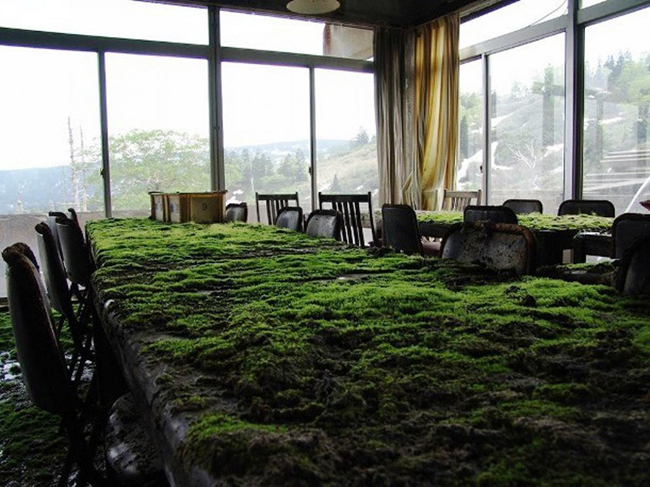 Quando a natureza reclama o seu lugar - escritório abandonado Quando a natureza reclama o seu lugar - escritório abandonado