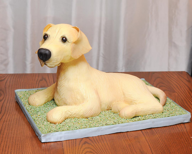 Cake design - bolo cão