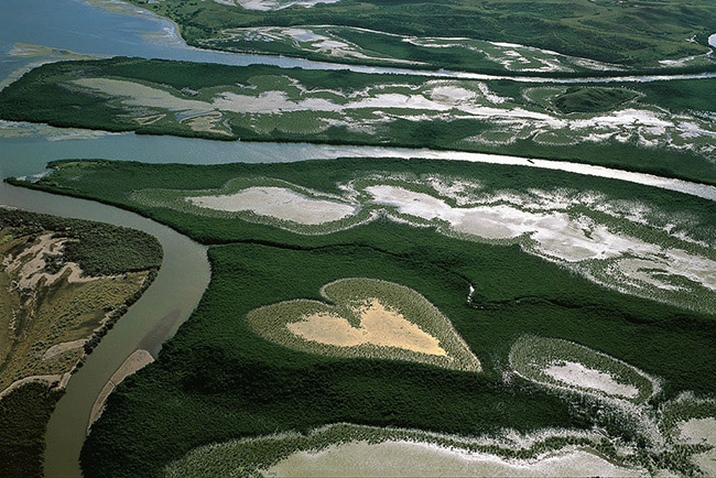 Paisagens espetaculares - foto de Yann Arthus-Bertrand , Nova Caledónia - Oceania Paisagens espetaculares - foto de Yann Arthus-Bertrand , Nova Caledónia - Oceania