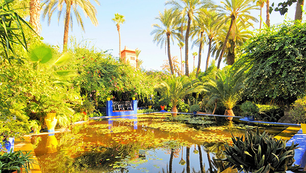 Maravilhas do mundo, jardins de sonho: Jardins de Majorelle – Marraquexe, Marrocos