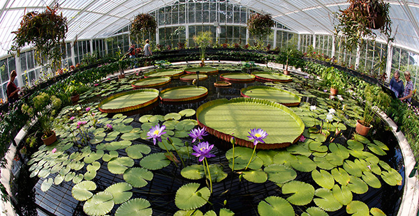 Maravilhas do mundo, jardins de sonho: Reais Jardins Botânicos de Kew – Londres, Reino Unido