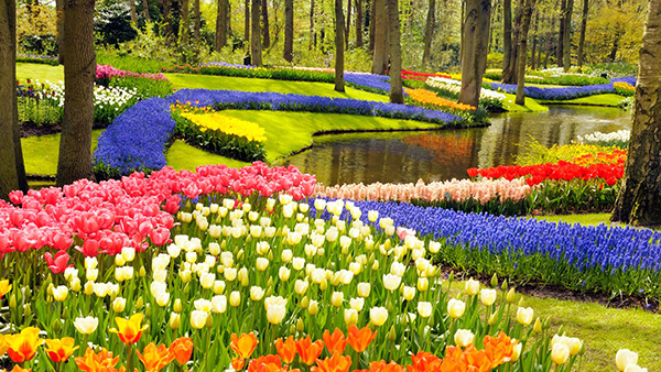Maravilhas do mundo, jardins de sonho: Jardim de Keukenhof – Amesterdão, Holanda Maravilhas do mundo, jardins de sonho: Jardim de Keukenhof – Amesterdão, Holanda