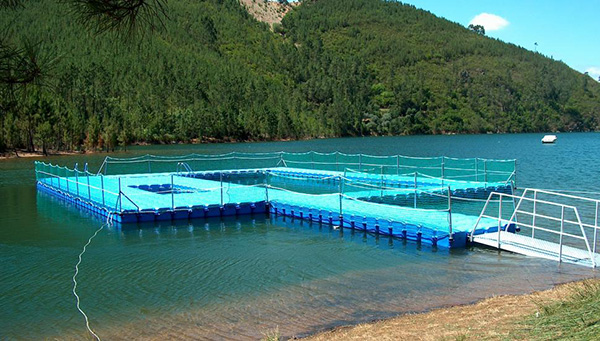 Praias fluviais de Portugal - FERNANDAIRES, VILA DE REI Praias fluviais de Portugal - FERNANDAIRES, VILA DE REI
