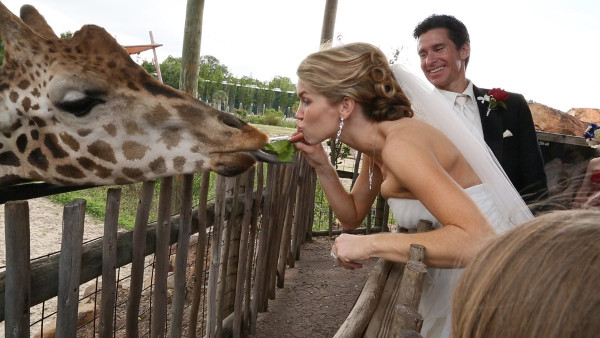 Casamentos mais originais de sempre - casamento num zoo 