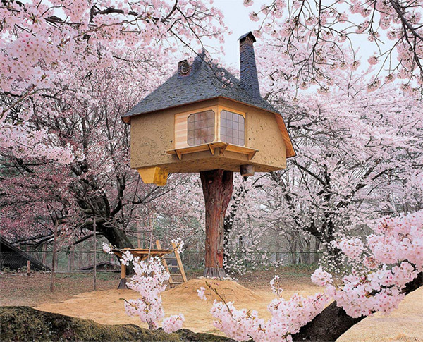 As casas nas árvores mais bonitas do mundo - pequena casinha na árvore, Japão
