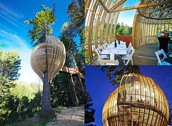 Restaurantes mais surpreendentes do mundo - restaurante na árvore, Nova Zelândia Restaurantes mais surpreendentes do mundo - restaurante na árvore, Nova Zelândia