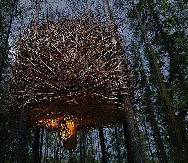 As casas nas árvores mais bonitas do mundo - um ninho na Suécia