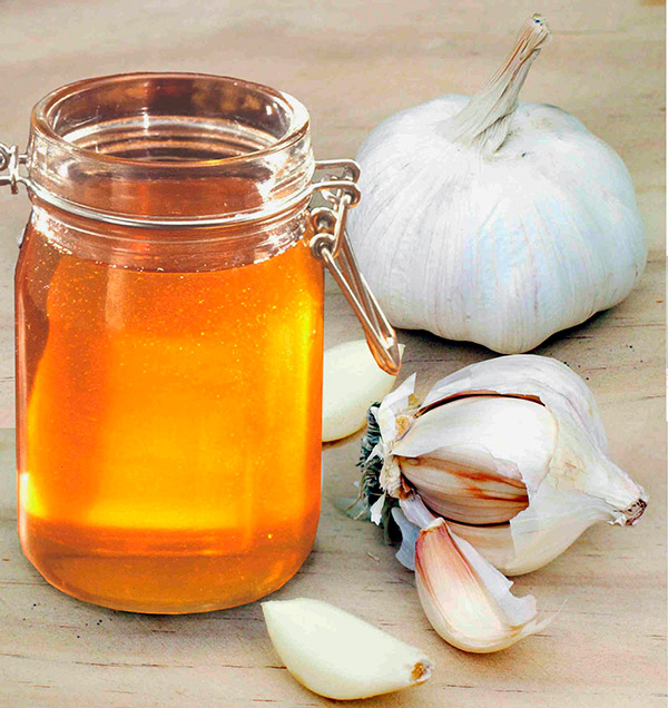 Receitas caseiras para as constipações- alho e mel 