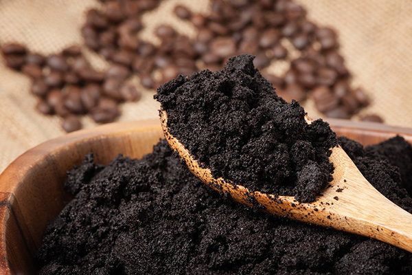 Usos surpreendentes das borras de café - Fertilizante natural