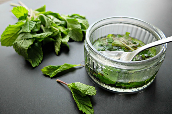7 soluções caseiras para acabar com as olheiras - FOLHAS DE MENTA