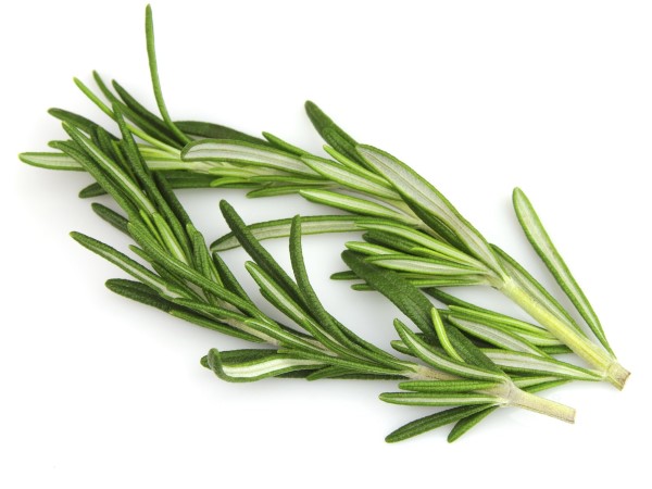 10 alimentos com propriedades afrodisíacas - Alecrim
