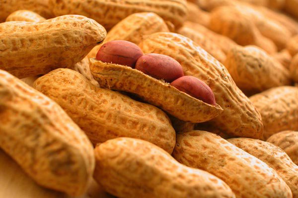 10 alimentos com propriedades afrodisíacas - Amendoins