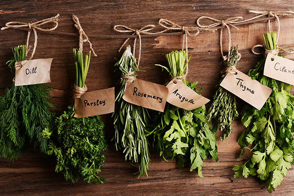Dicas saudáveis - 7 alternativas ao sal - ERVAS AROMÁTICAS