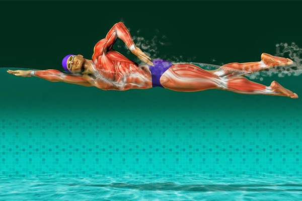 Os 10 benefícios da natação para a sua saúde - Fortalece o tónus muscular