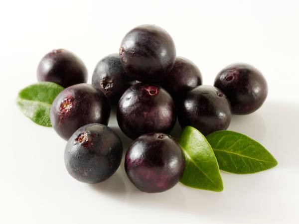 O açaí e os seus benefícios para a nossa saúde- Açaí