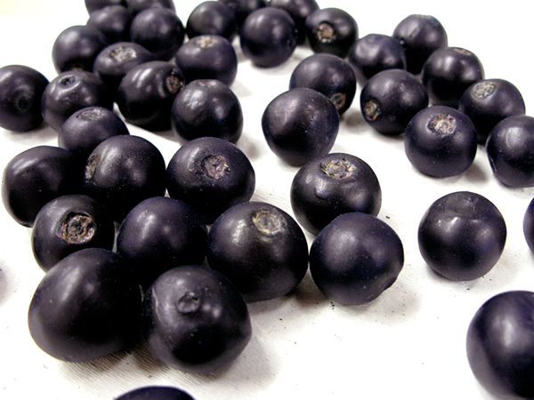 O açaí e os seus benefícios para a nossa saúde-Açaí