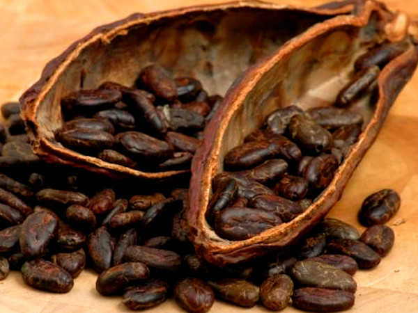 Cacau, o rei dos antioxidantes e os seus benefícios -Grãos de cacau