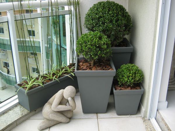 7 dicas para descomplicar e destralhar a sua vida - Cuide das plantas