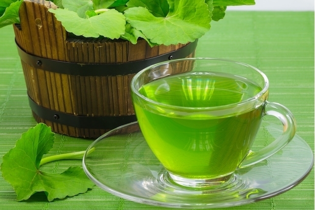 Centelha Asiática – Uma infusão para emagrecer e dormir melhor - Infusão