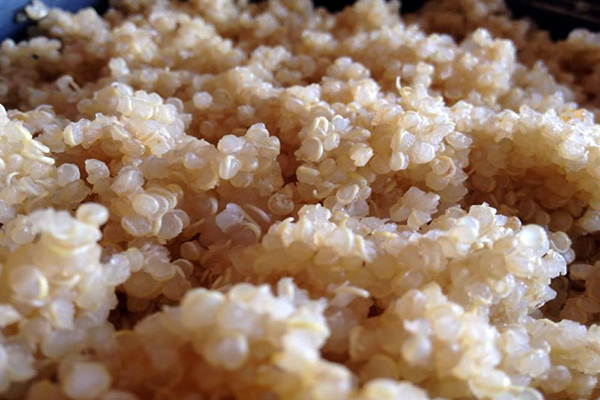 Quinoa, a proteína completa - 7 benefícios e receita - Protege das doenças cardiovasculares