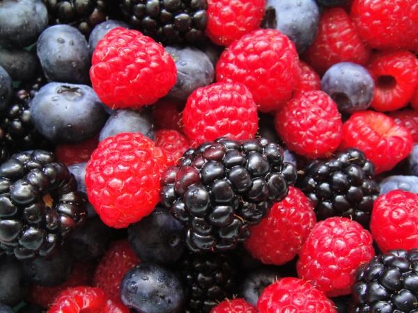 Tarte de frutos vermelhos - Uma sobremesa sem açúcar - Escolha os frutos vermelhos que mais gostar