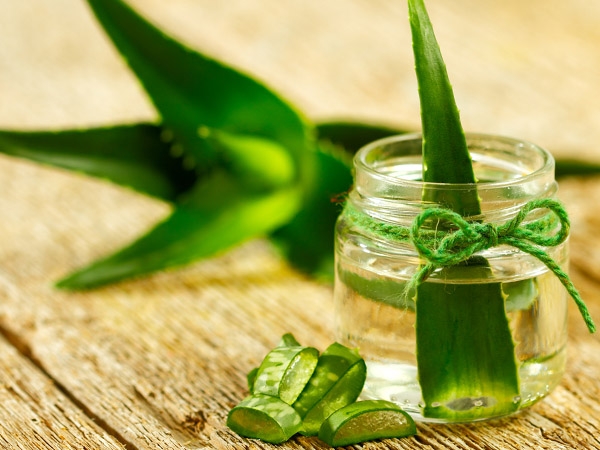 Dicas saudáveis: 10 Benefícios do Aloe Vera- Facilita o processo de digestão 