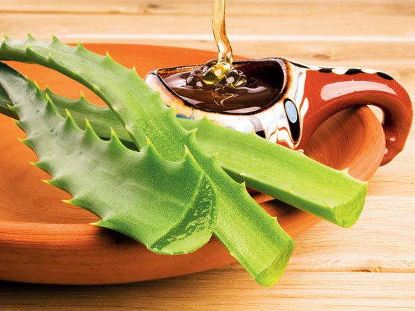 Dicas saudáveis: 10 Benefícios do Aloe Vera- Anti-inflamatório natural