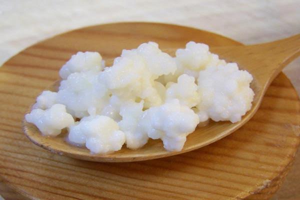 Dicas saudáveis- Os benefícios do Kefir para a sua saúde - Contém pouca lactose