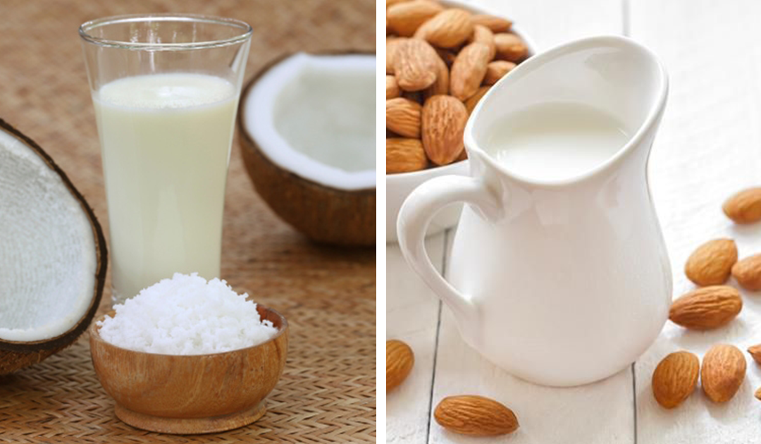 Receita de leite de coco e de amêndoa – 2 alternativas ao leite de origem animal