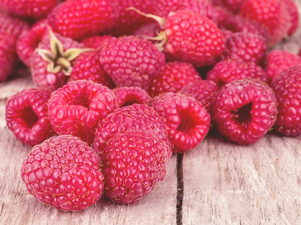 Os 7 melhores frutos para consumir no verão- Framboesas