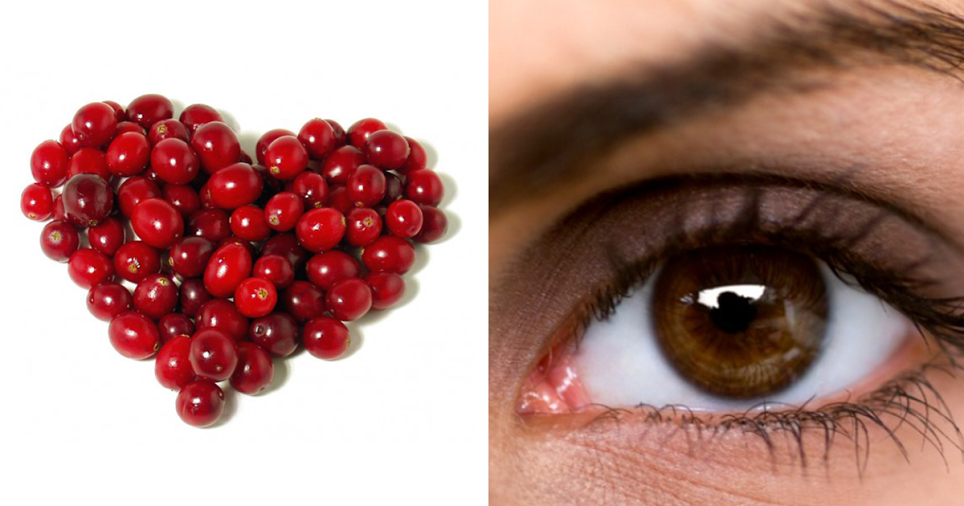 8 Benefícios dos arandos vermelhos para a nossa saúde