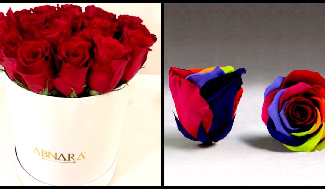 Abnara Events & Flowers – rosas que duram até 4 anos