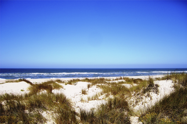 10 praias fantásticas para visitar em Portugal- Praia de São Jacinto (Aveiro)