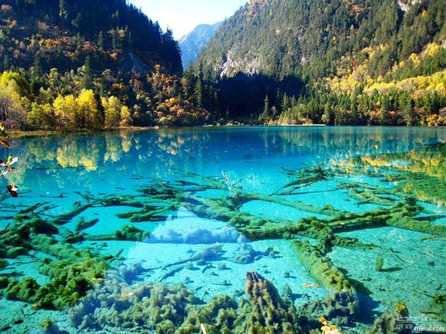 As águas mais cristalinas - 10 locais de sonho - Five Flower Lake, China 