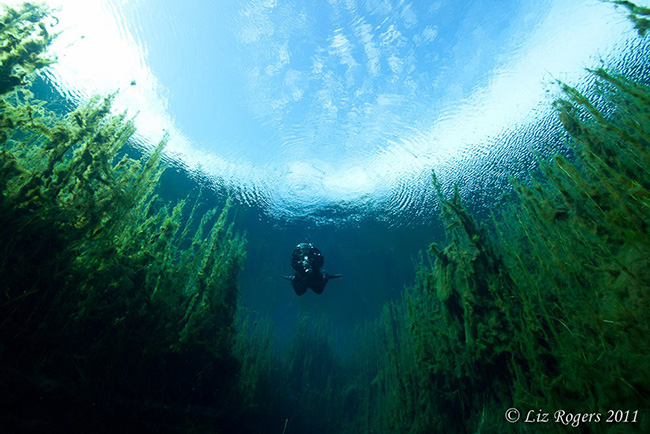 As águas mais cristalinas - 10 locais de sonho - Piccaninnie Ponds, Austrália