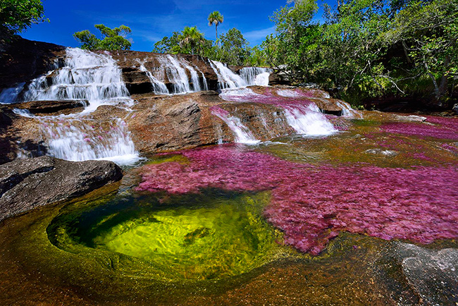 Os rios mais bonitos do mundo - Rio Caño Cristales, Colômbia