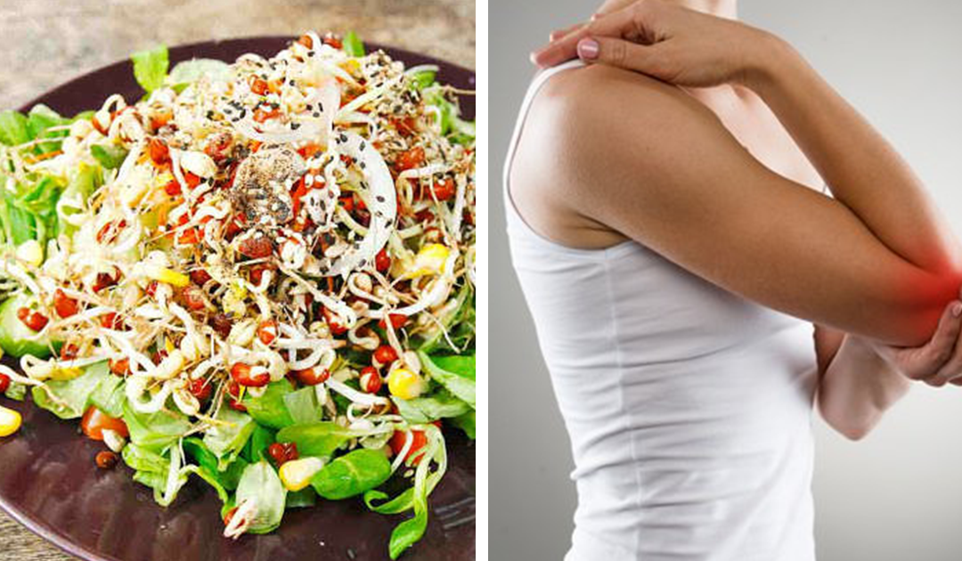 Dicas saudáveis – benefícios de alfafa + receita salada