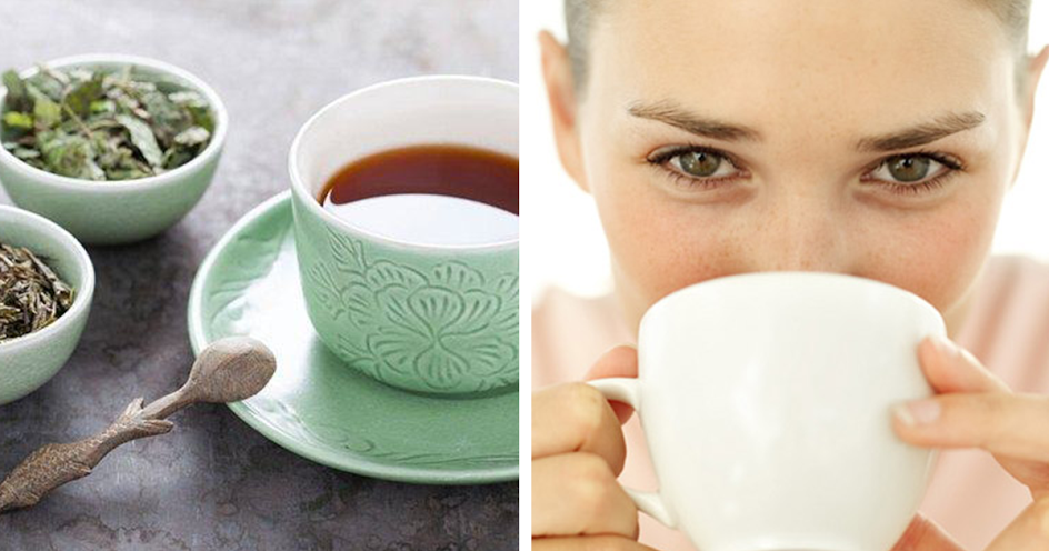 8 Benefícios do chá de cavalinha para o nosso organismo