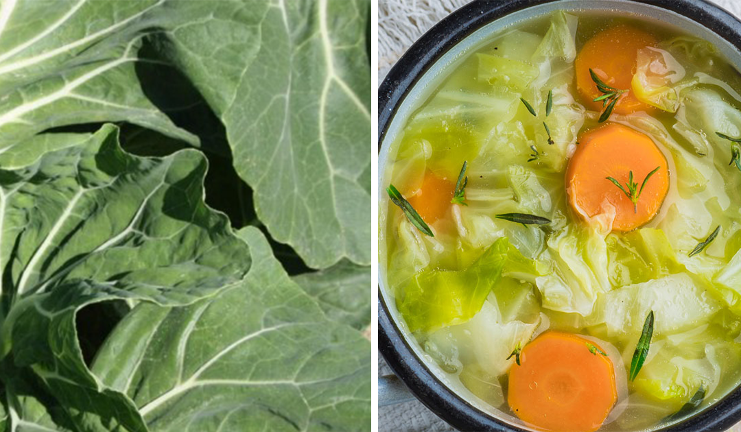 Sopa de couve-galega – Um prato muito saudável