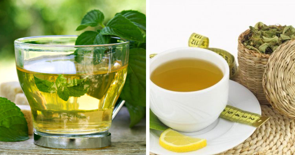 7 Benefícios das folhas de chá de boldo para a sua saúde