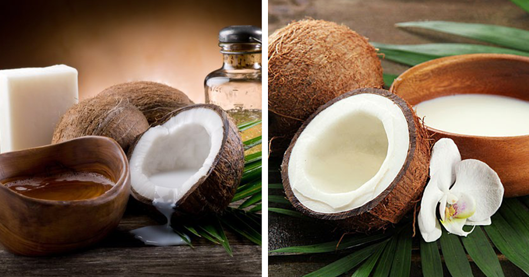 Dicas saudáveis: 7 variantes do coco
