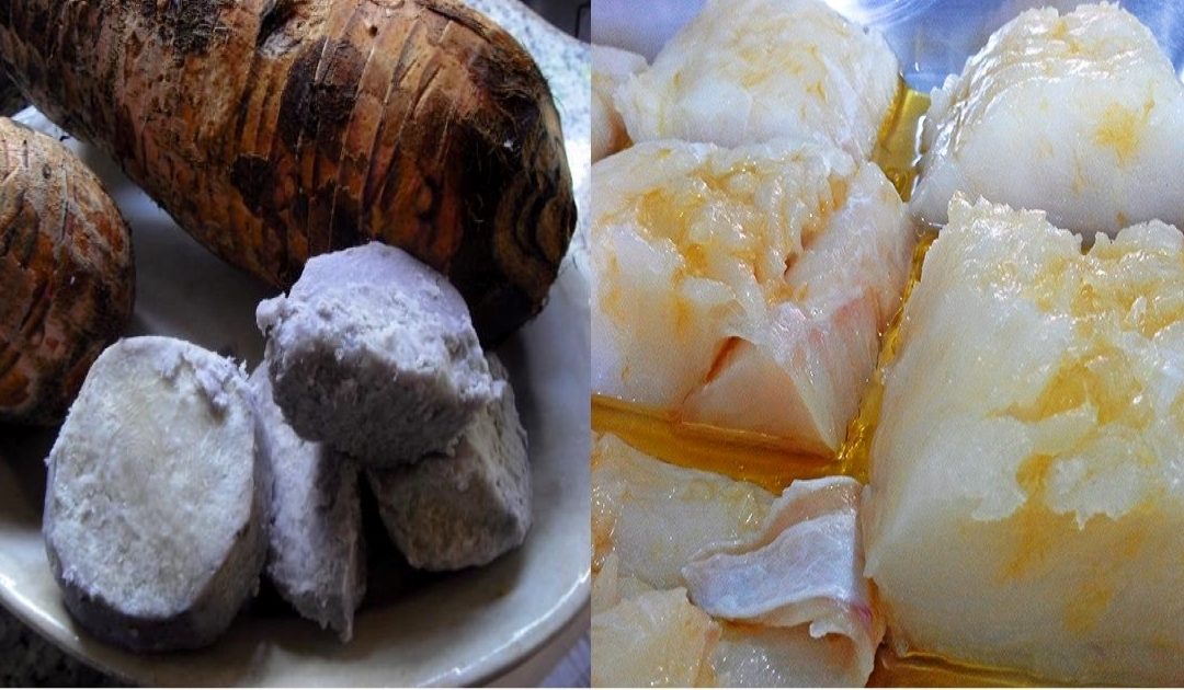 Inhame com bacalhau – um prato tradicional da Quaresma na Madeira