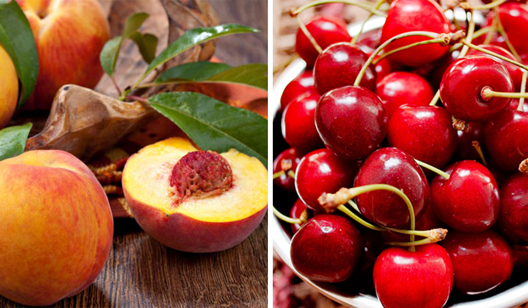 Os 7 melhores frutos para consumir no verão